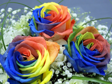 Load image into Gallery viewer, Rainbow Rose Divine Ritual Spell – Awaken Your Inner Psychic Powers and Become 25% More Powerful | Catapult To The Fifth Dimension