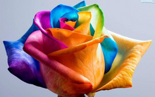 Load image into Gallery viewer, Rainbow Rose Divine Ritual Spell – Awaken Your Inner Psychic Powers and Become 25% More Powerful | Catapult To The Fifth Dimension