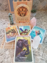 Load image into Gallery viewer, AwakenedYou The Secret Language of Animals Oracles Cards | Tarot Deck | Spirit Animals Tarot | Tarot Playing Cards | Cute Tarot Cards