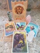 Load image into Gallery viewer, AwakenedYou The Secret Language of Animals Oracles Cards | Tarot Deck | Spirit Animals Tarot | Tarot Playing Cards | Cute Tarot Cards