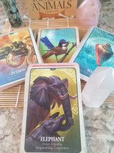 Load image into Gallery viewer, AwakenedYou The Secret Language of Animals Oracles Cards | Tarot Deck | Spirit Animals Tarot | Tarot Playing Cards | Cute Tarot Cards