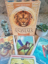 Load image into Gallery viewer, AwakenedYou The Secret Language of Animals Oracles Cards | Tarot Deck | Spirit Animals Tarot | Tarot Playing Cards | Cute Tarot Cards