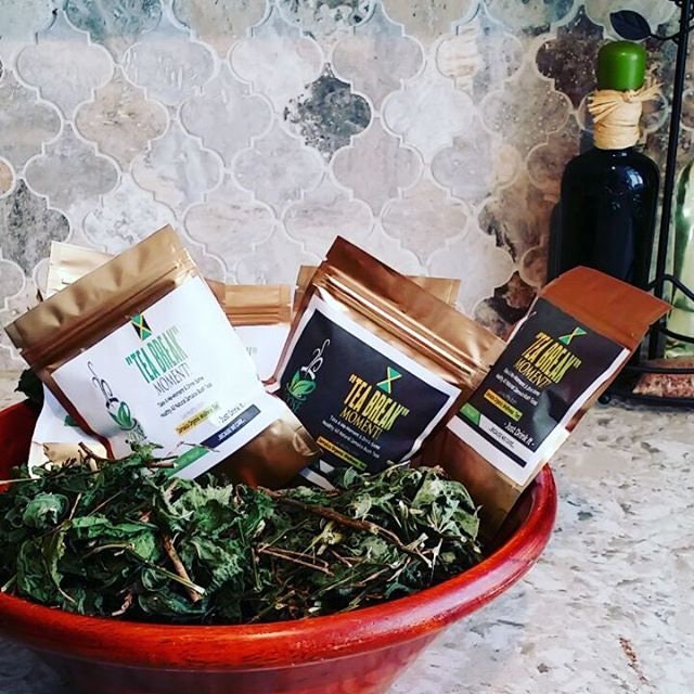 Healing Tea Set — Guinea Hen Weed, Moringa & Neem