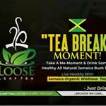 Healing Tea Set — Guinea Hen Weed, Moringa & Neem